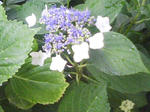 J0010229.jpg