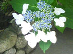 J0010231.jpg