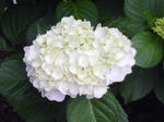 J0010232.jpg