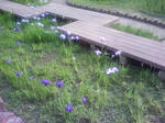 J0010237.jpg