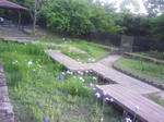 J0010238.jpg