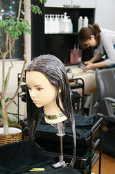 m3d20090408_1404.jpg