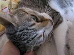 m3dIMG_1044.jpg