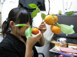 m3d20091005_2865.jpg