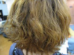 m3d20091115_3205.jpg