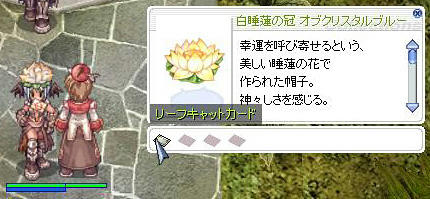 おや…頭装備のようすが…？