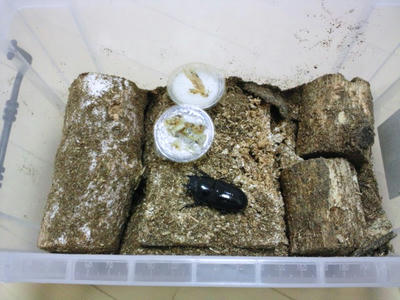2012.04.04002.jpg