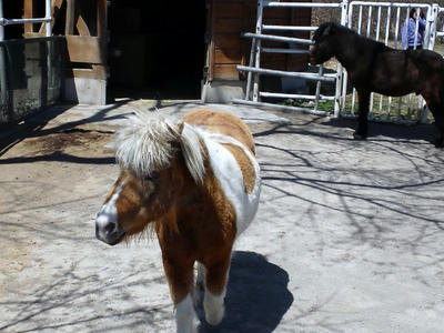 2012.04.08004.jpg