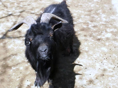 2012.04.08003.jpg