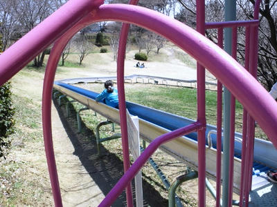 2012.04.08008.jpg