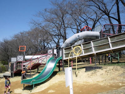 2012.04.08007.jpg