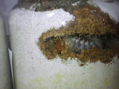 2012.04.24001.jpg