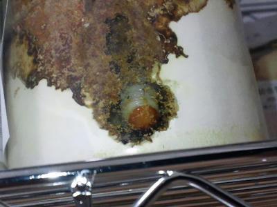 2012.04.24002.jpg