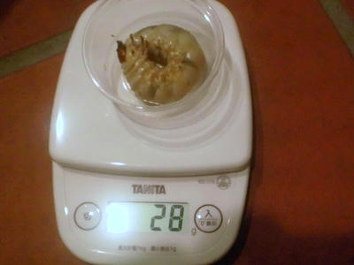2012.05.yg.JPG