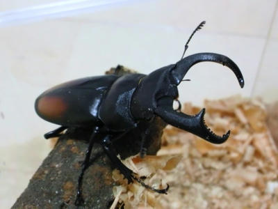 2012.05.08.JPG