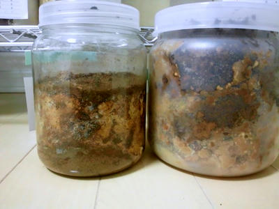 2012.05.22.JPG
