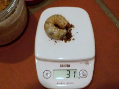 2012.06.10yg.jpg