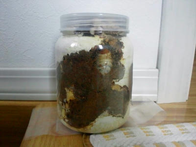 2012.06.19.JPG