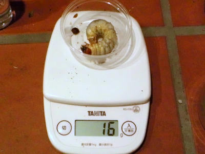 2012.06.bou.jpg