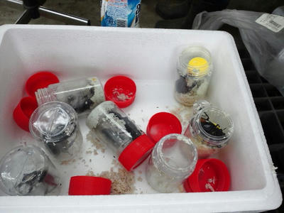 2012.06.30.JPG