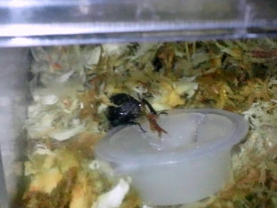 2012.07.speki002.jpg