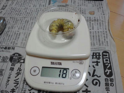 2012.07.borin.jpg