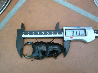 2012.09.yg001.jpg