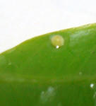 0511-3.jpg