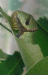 0601-1.jpg