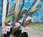 0603-2.jpg