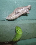 0707-1.jpg
