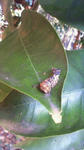 200910180948000.jpg