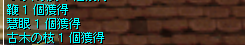 紫