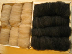 20080112-3.JPG