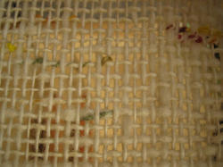20080128-1.JPG