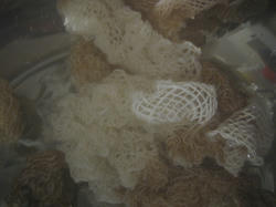 20080616-2.JPG