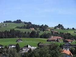 20080816-5.JPG