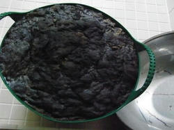 20090111-1.JPG