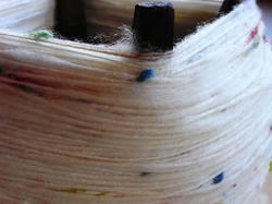 20090901.JPG