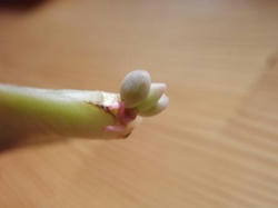 20100226.JPG