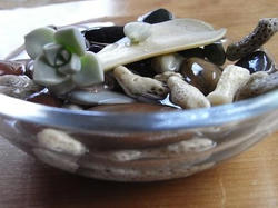 20100404.JPG