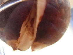 20100722.JPG