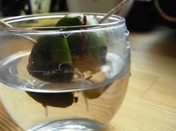 20100916.JPG