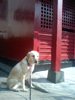 http://blog.cnobi.jp/v1/blog/user/668ed49def8ec6227903541e694aec6f/1286346913
