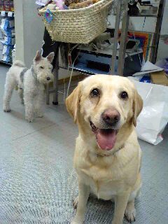 http://blog.cnobi.jp/v1/blog/user/668ed49def8ec6227903541e694aec6f/1288594713
