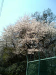 DCF_0018.JPG