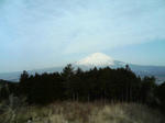 DCF_0023.JPG