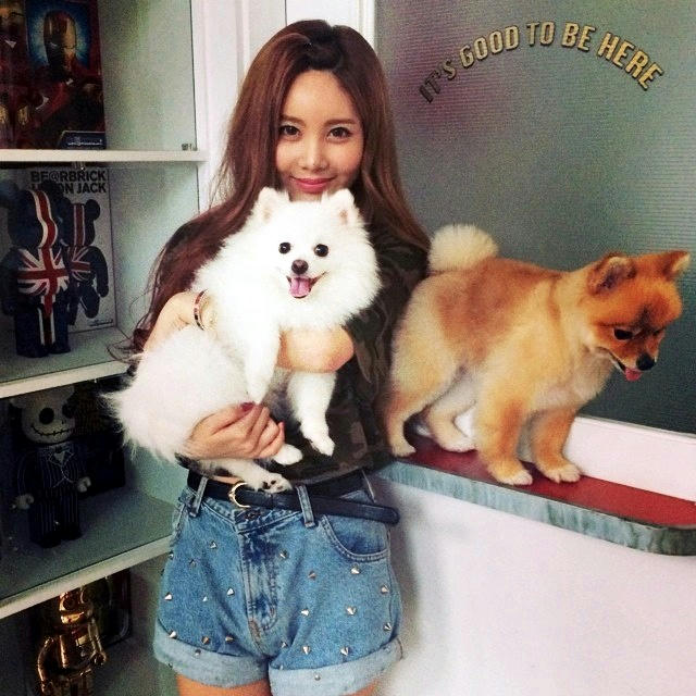 T-ARA : Qri ⇔ Pomeranian XD