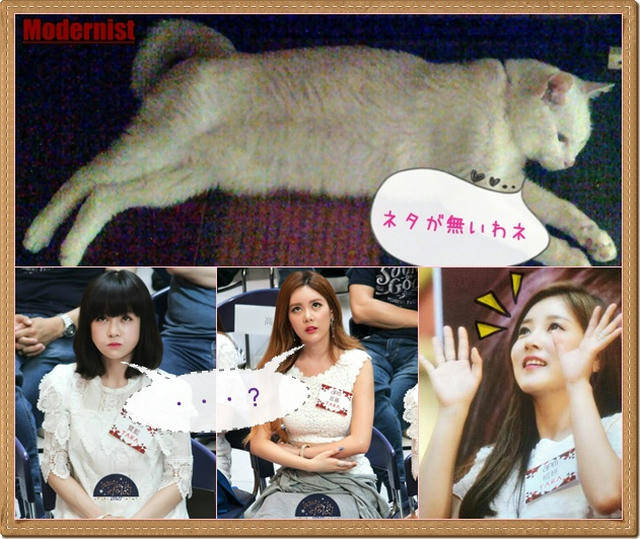 T-ARA : QBS & Mog ネタが無いんです{XD