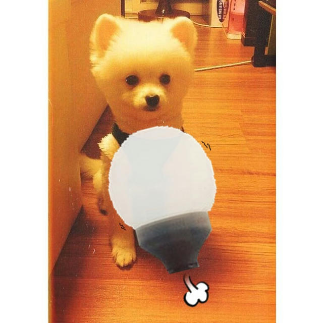T-ARA : キュリとボラムが・・・！？